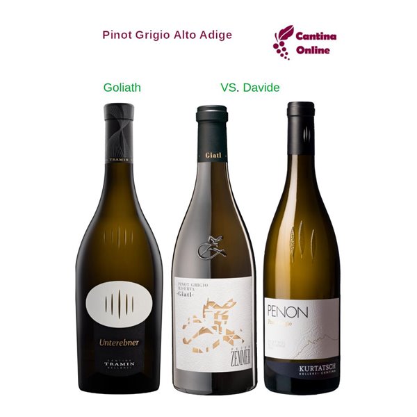 Davide VS. Goliath - Pinot Grigio Alto Adige - 3 x 0,75 L. Davide VS. Goliath - Pinot Grigio Alto Adige - 3 x 0,75 L.