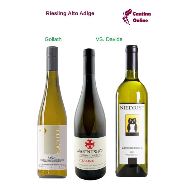 Davide VS. Goliath - Riesling Alto Adige - 3 x 0,75 L. Davide VS. Goliath - Riesling Alto Adige - 3 x 0,75 L.