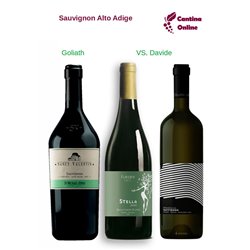 Davide VS. Goliath  - Sauvignon  Alto Adige  - 3 x 0,75 L.