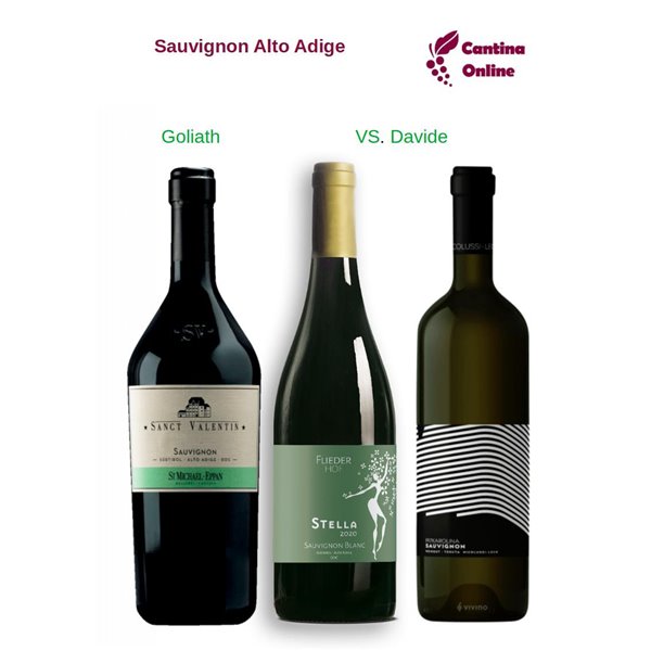 Davide VS. Goliath - Sauvignon Alto Adige - 3 x 0,75 L. Davide VS. Goliath - Sauvignon Alto Adige - 3 x 0,75 L.