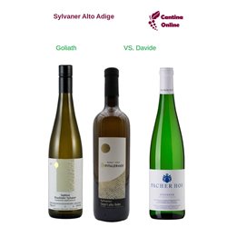 Davide VS. Goliath  -  Sylvaner  Alto Adige  - 3 x 0,75 L.