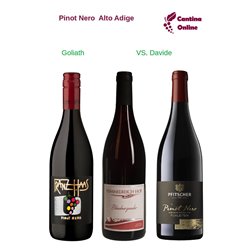 Davide VS. Goliath  - Pinot Noir Alto Adige  - 3 x 0,75 L.