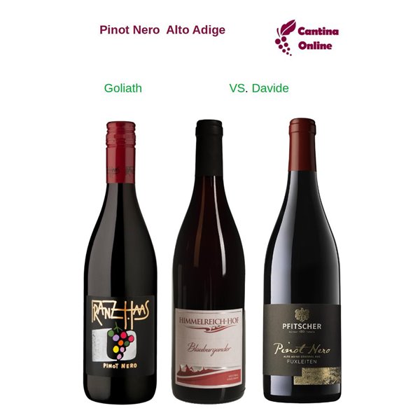 Davide VS. Goliath - Pinot Noir Alto Adige - 3 x 0,75 L. Davide VS. Goliath - Pinot Noir Alto Adige - 3 x 0,75 L.