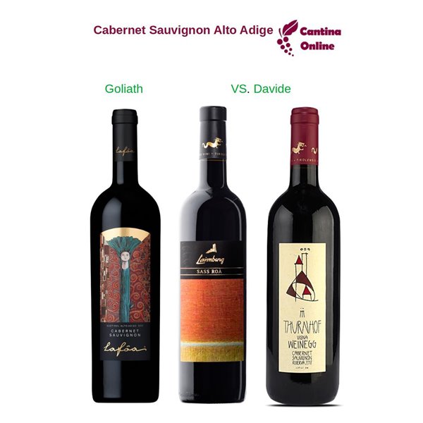 Davide VS. Goliath - Cabernet Sauvignon Alto Adige - 3 x 0,75 L. Davide VS. Goliath - Cabernet Sauvignon Alto Adige - 3 x 0,75 L.