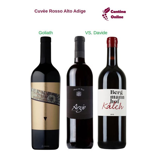 Davide VS. Goliath - Cuvèe Rosso Alto Adige - 3 x 0,75 L. Davide VS. Goliath - Cuvèe Rosso Alto Adige - 3 x 0,75 L.