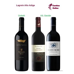 Davide VS. Goliath  -    Lagrein Riserva  Alto Adige  - 3 x 0,75 L.