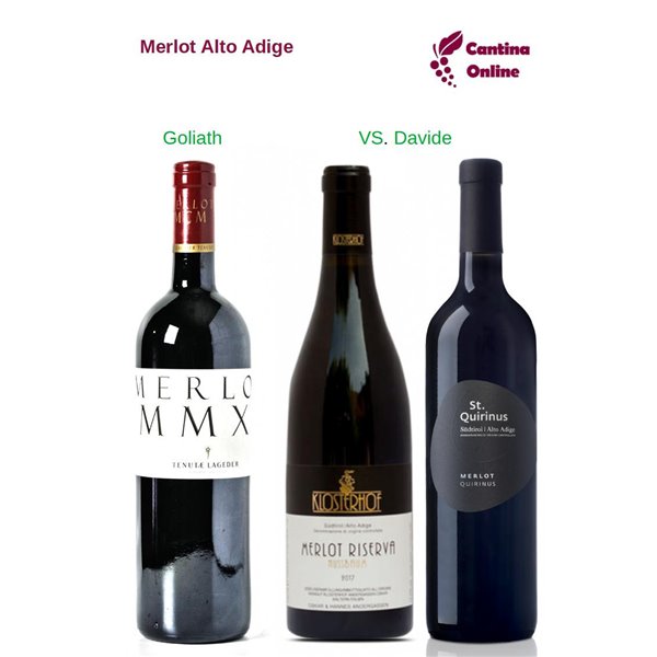 Davide VS. Goliath  -  Merlot  Alto Adige  - 3 x 0,75 L.