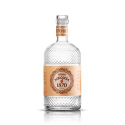Bertagnolli - Acquavite Frutta 1870 Apricots (40% Vol. - 0.70 Lt)
