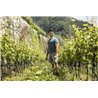 Sekt  -  Reiff Extrabrut Trento Doc - Az.Agr. Furletti