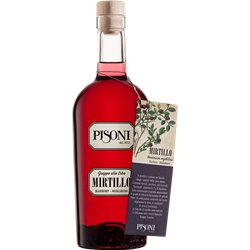 Distilleria Pisoni - Grappa Mirtillo 70cl 40°