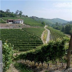 Az. Agr. Pelissero -  Barbaresco DOCG Vanotu  2018  0,75 L.