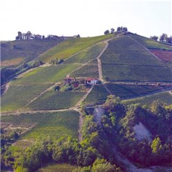 Az. Agr. Pelissero -  Langhe Rosso Long Now 2019  0,75 L.