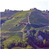 Az. Agr. Pelissero -  Langhe Rosso Long Now 2019  0,75 L.