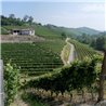 Az. Agr. Pelissero -  Langhe Rosso Long Now 2019  0,75 L.