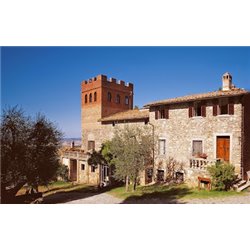 Az. Agr. Lisini - Brunello di Montalcino  DOCG  2017 0,750 L.