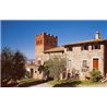 Az. Agr. Lisini - Brunello di Montalcino  DOCG  2017 0,750 L.