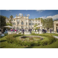 TOP Pack: 12 Bottles   Cantine Bertani - Amarone della Valpolicella Valpantena DOCG  2019