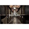 TOP Pack: 6 Bottles  Cantine Bertani - Ognisanti di Novare Valpolicella Classico Superiore DOC  2020