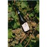 Lugana Oasi Mantellina D.O.C.  2021 - Allegrini 0,7 L.