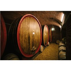 Soave Oasi San Giacomo D.O.C.  2021 - Allegrini 0,7 L.