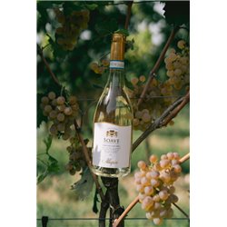 Soave Oasi San Giacomo D.O.C.  2021 - Allegrini 0,7 L.
