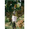 Soave Oasi San Giacomo D.O.C.  2021 - Allegrini 0,7 L.