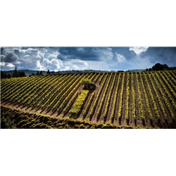 Brunello di Montalcino 2012 Conti Costanti