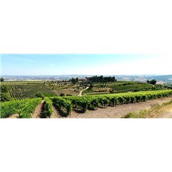 Brunello di Montalcino 2012 Conti Costanti