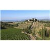 Brunello di Montalcino  Docg 2012 Castel giocondo - Frescobaldi