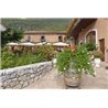 Chardonnay Valdadige DOC "Le Fratte" 2022 Roeno
