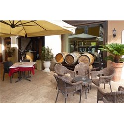 Gewürztraminer Trentino DOC "Kies" 2022 Roeno