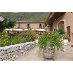 Vino Bianco Piwi "Repanda" Solaris 2021 Roeno