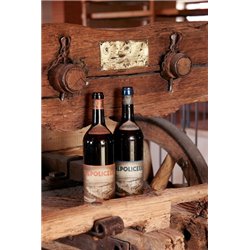 Amarone della Valpolicella Classico Docg Collezione Pruviniano - Domini Veneti