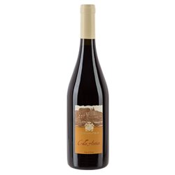 Veneto red wine Colle Antico - Bergamini 0,750 l.