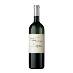 ZENATO Lugana Massoni Doc SANTA CRISTINA 2022 cl.75