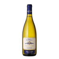 MASSI DI MANDORLAIA Vermentino COSTA 2022 GUICCIARDINI  Cl.75