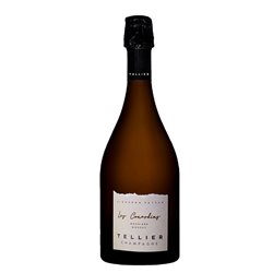 TELLIER Champagne Extra Brut LES CONARDINS 2018 Cl 75