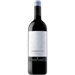 DOMENICO CLERICO Barolo di Serralunga D'Alba 2019 MAGNUM cl.150 14.5