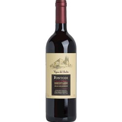 FONTODI Chianti Classico Riserva VIGNA DEL SORBO 2019 CL.75