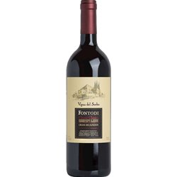 FONTODI Chianti Classico Riserva VIGNA DEL SORBO 2019 CL.75