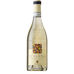 OTTELLA Lugana 2022 cl.75 13°