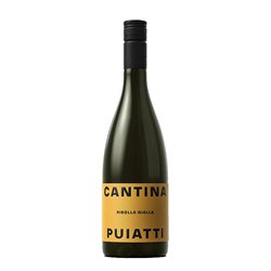 PUIATTI Ribolla Igp Venezia Giulia 2022 cl.75 12.5%