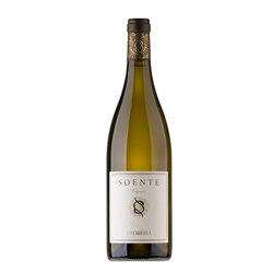 TENUTA MONTIANO COTARELLA Lazio Viognier Igp SOENTE 2021 Cl.75