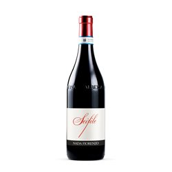 NADA FIORENZO Langhe Rosso SEIFILE 2019 Cl.75