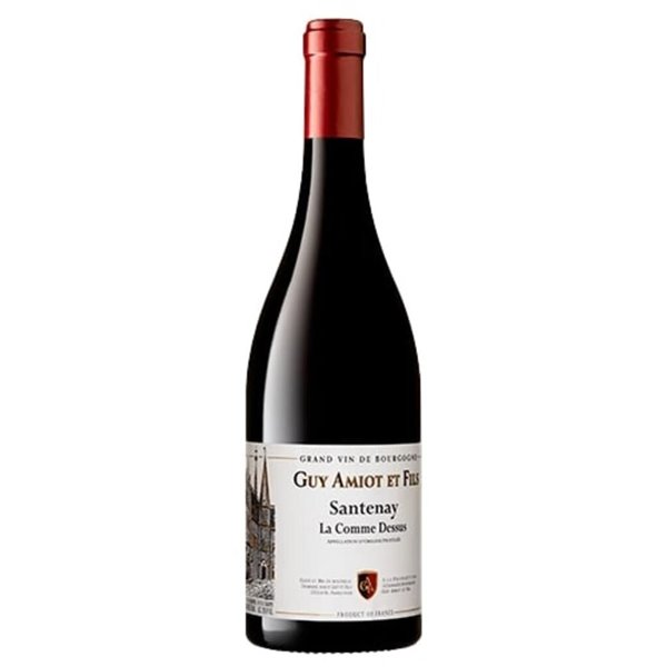 DOMAINE GUY AMIOT Bourgogne Santenay Villages 2020 cl.75