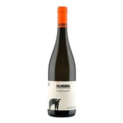 SAN SALVATORE 1988 Falanghina 2022 Cl.75
