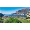 Madonna delle Vittorie - Garda D.O.P. Olio Extravergine D'Oliva 0.25 L