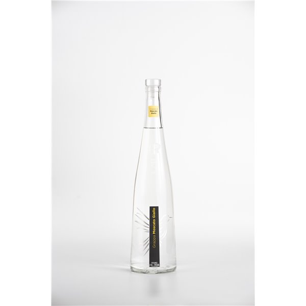 Distilleria Pilzer - Grappa Moscato Giallo Distilleria Pilzer - Grappa Moscato Giallo