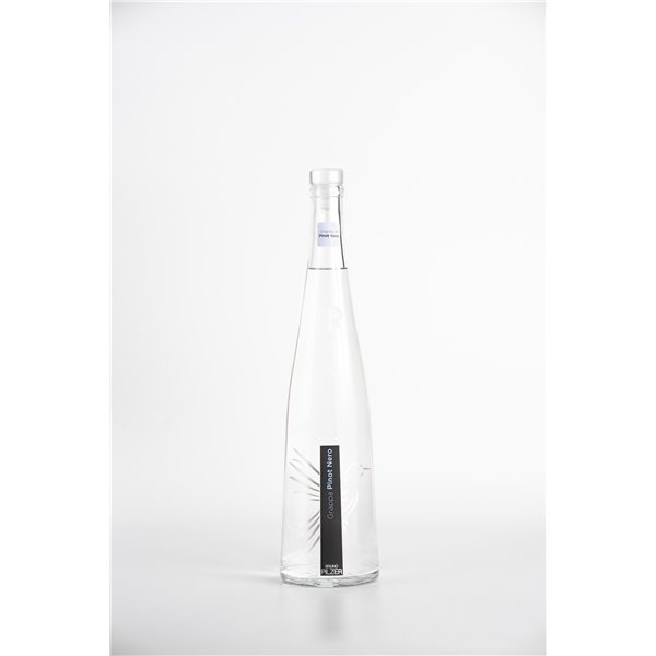 Distilleria Pilzer - Grappa Pinot Nero Distilleria Pilzer - Grappa Pinot Nero
