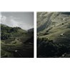 Distilleria Pilzer - Pilzer Grappa al Pino Mugo  40 ° - 0.50 L.